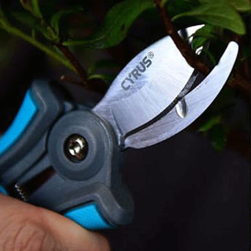 blade cuting houseplant pruner blade cuting houseplant pruner