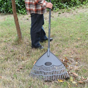 چگونه از Vinca در فصل زمستان مراقبت کنیم؟