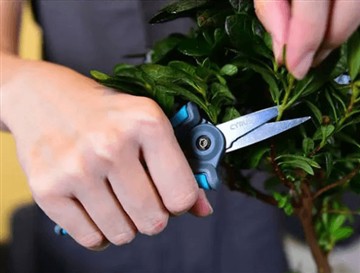 چرا قیچی جدید و بزرگتر را عرضه کردیم؟