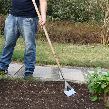فواید راه اندازی باغ سبزیجات