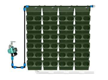 گلدان جاذب آب
