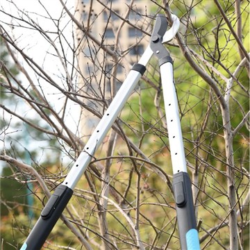 هرس و پیرایش: توجه به باغ خانوادگی من