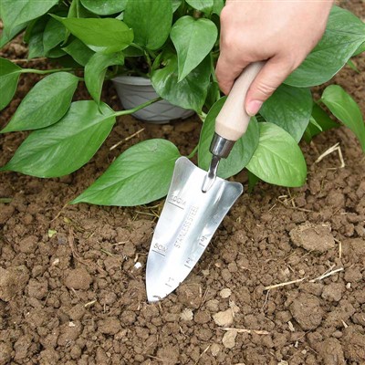 خاطرات باغبانی -1