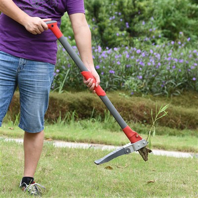 برای علفهای هرز بی دردسر Weeder را بایستید