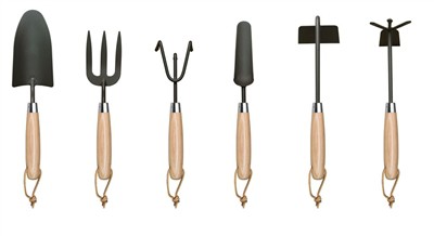 کاشت گوجه فرنگی در خانه