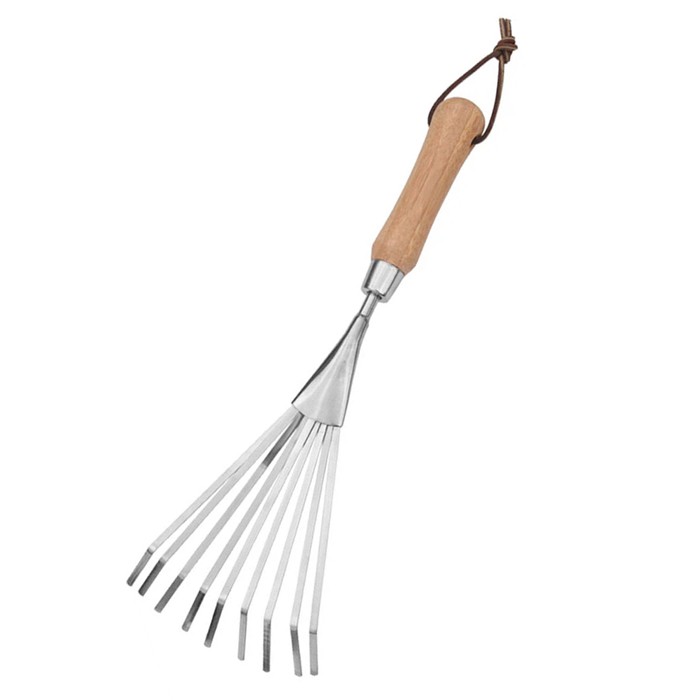 طرفداران دستی