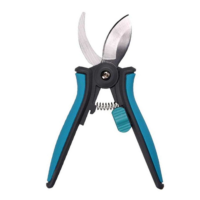 هرس گیاه آپارتمانی