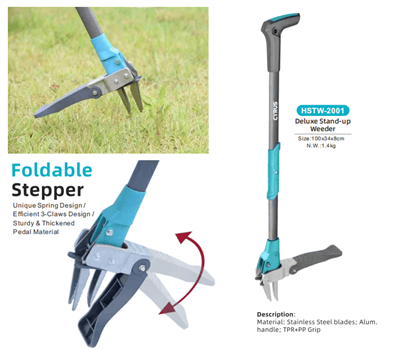 بزرگداشت جشنواره نیمه پاییز در سراسر جهان: هماهنگی سنت و ابزار باغ