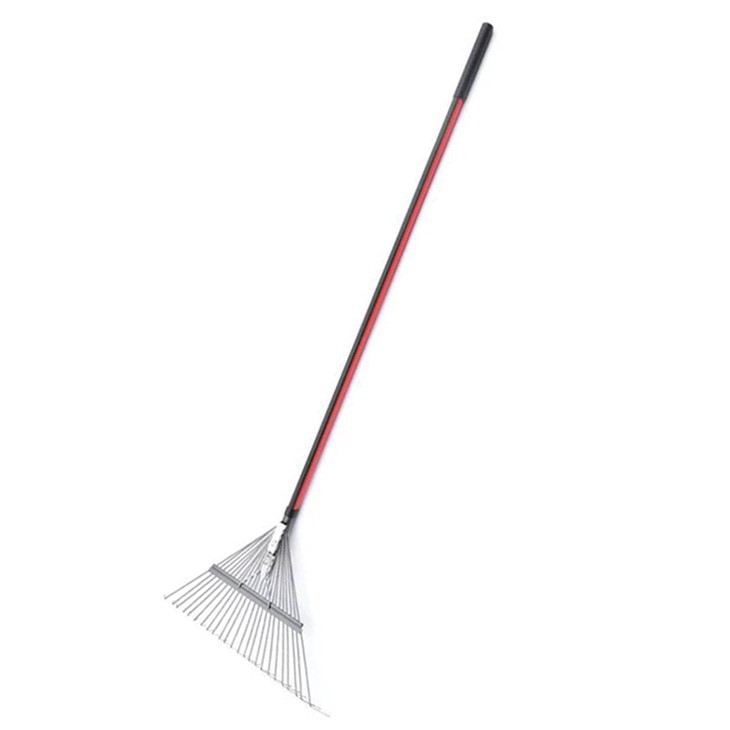 چمن و چنگک برگ