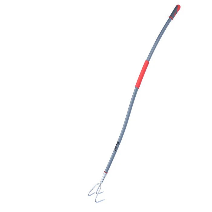 پرورش دهنده پنجه باغ طولانی