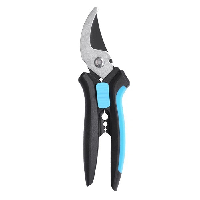 آروسرهای رز حرفه ای