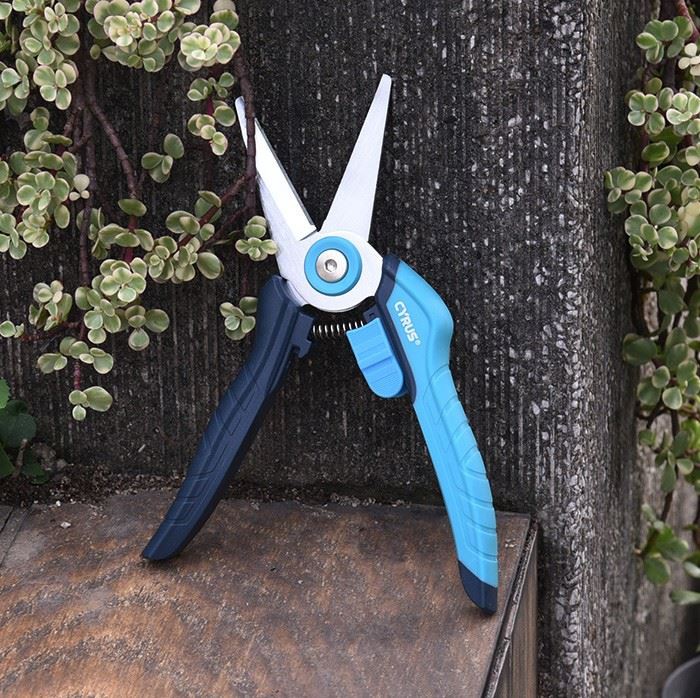 Straight Pruning Shears